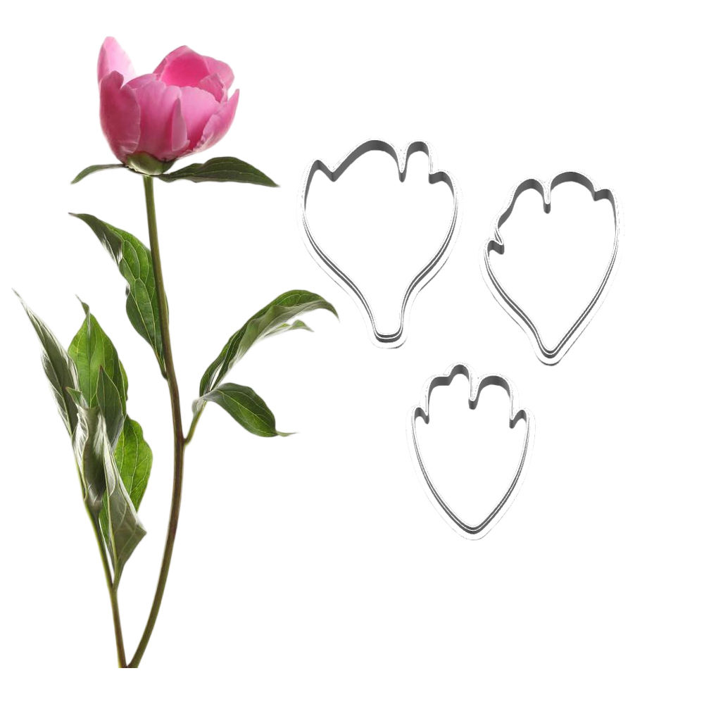 New Peony Silicone Molds&Cutte - đánh giá và giá Candle Making Supplies Wholesale