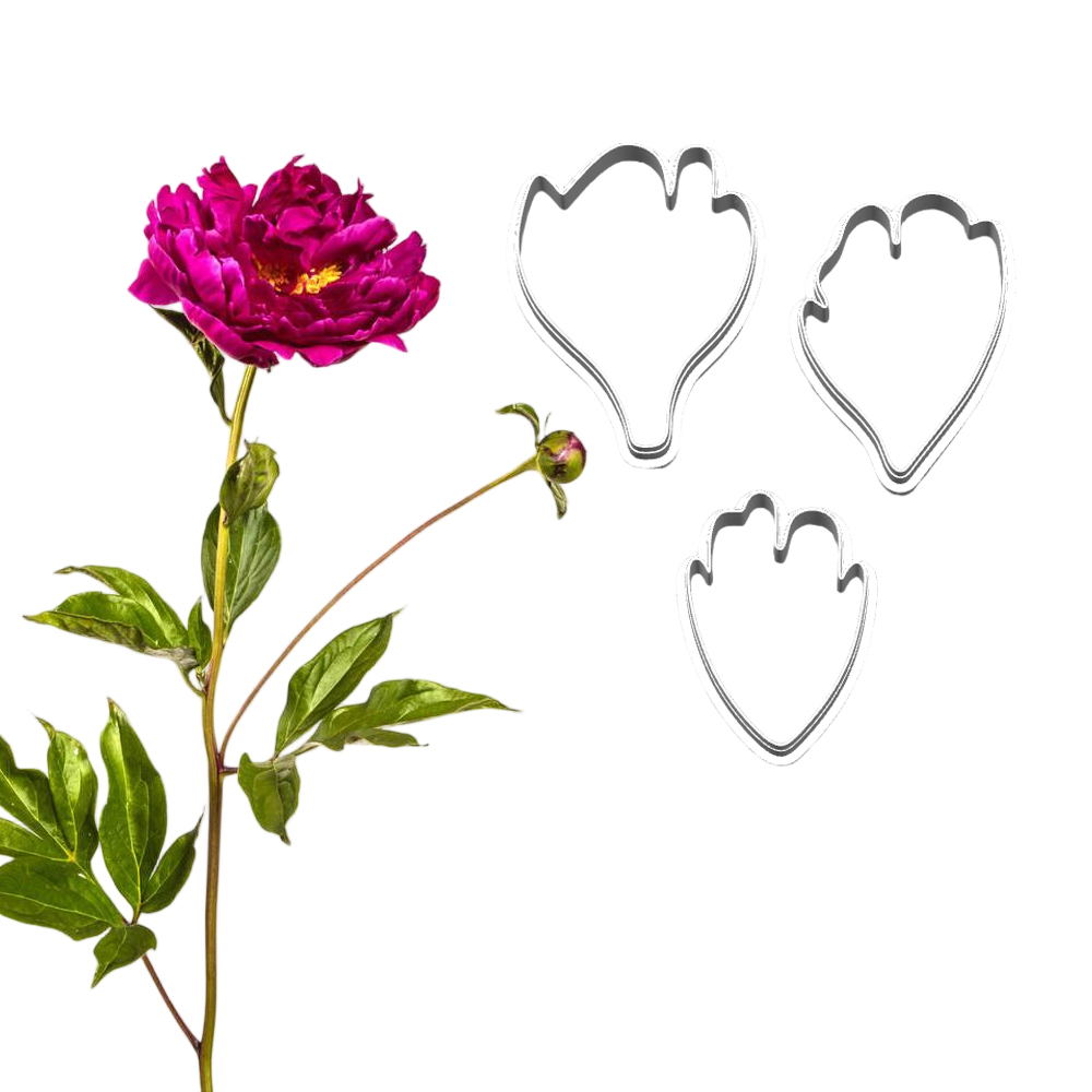 New Peony Silicone Molds&Cutte - đánh giá và giá Candle Making Supplies Wholesale